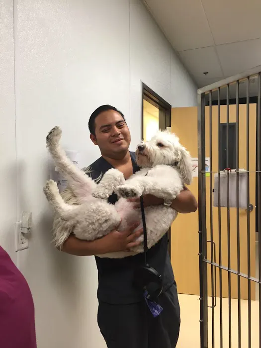 Southern Hills Animal Hospital Picture 7