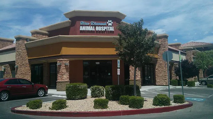 Blue Diamond Animal Hospital Picture 1