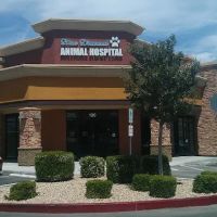 Blue Diamond Animal Hospital ico