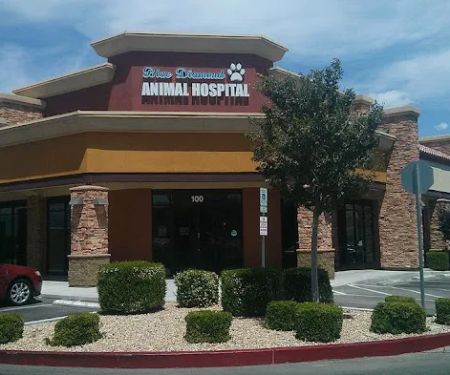 Blue Diamond Animal Hospital