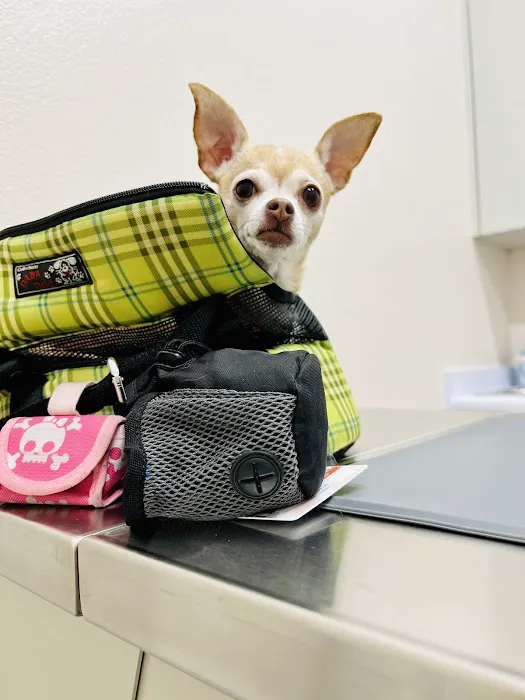 Cactus Pet Hospital Picture 4
