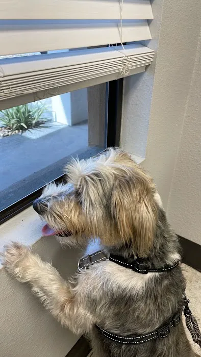 North Bay Animal Hospital Picture 4
