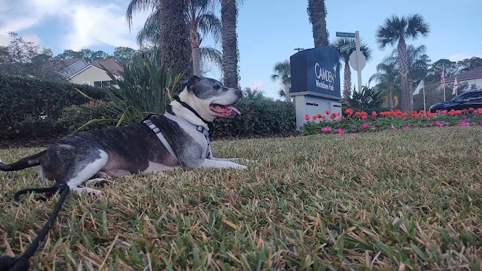 Banfield Pet Hospital Picture 7