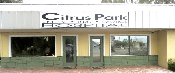 Citrus Park Animal, Bird & Exotics Hospital Picture 3
