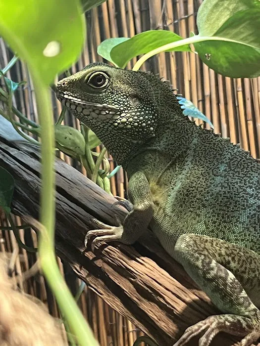 Citrus Park Animal, Bird & Exotics Hospital Picture 6