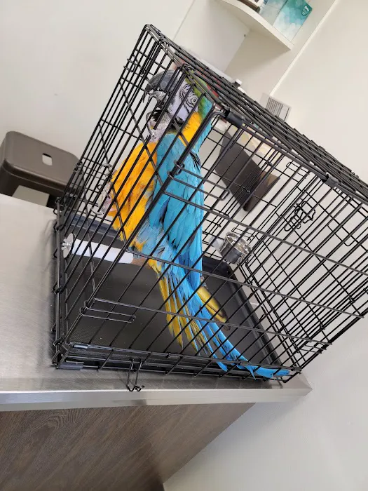 Citrus Park Animal, Bird & Exotics Hospital Picture 10