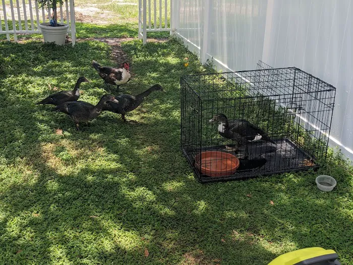 Citrus Park Animal, Bird & Exotics Hospital Picture 9