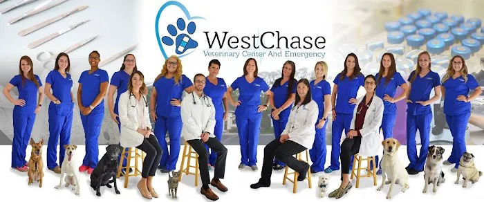 Westchase Veterinary Center and Emergency Picture 3