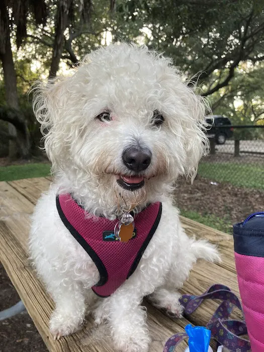 Westchase Veterinary Center and Emergency Picture 4