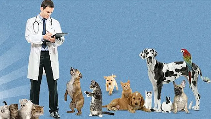 Ehrlich Animal Hospital & Arthritis Therapy Center Picture 3