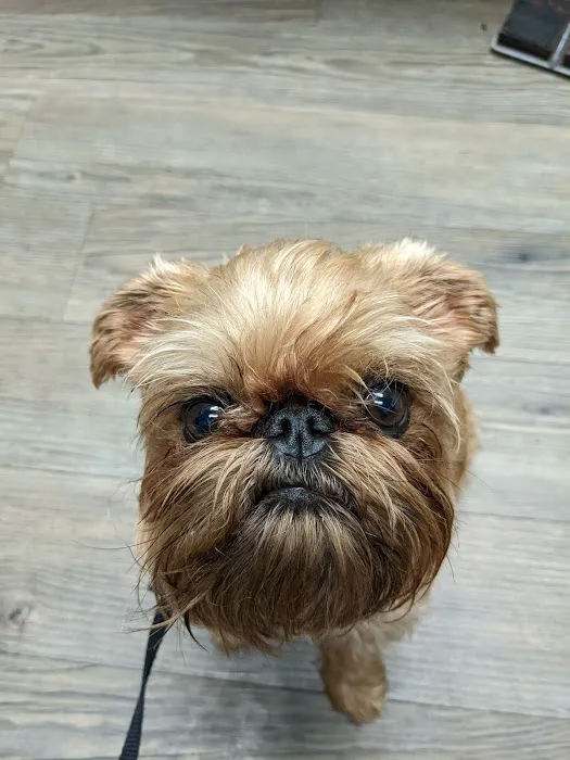 Ehrlich Animal Hospital & Arthritis Therapy Center Picture 8