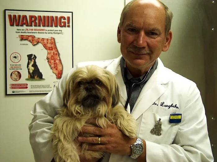 Ehrlich Animal Hospital & Arthritis Therapy Center Picture 7