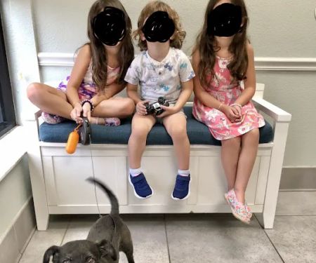 Pebble Creek Animal Hospital