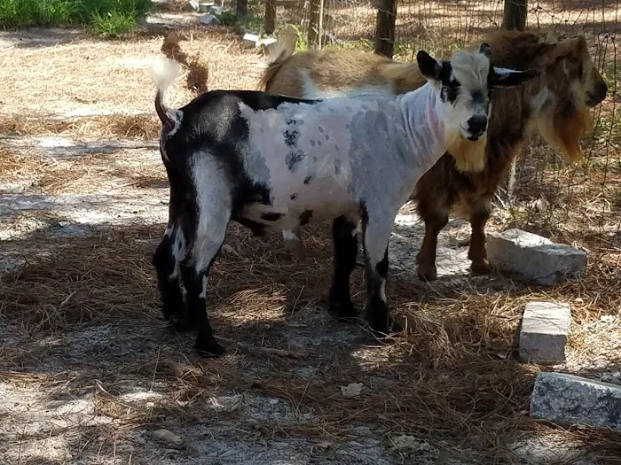 New Tampa Animal Hospital Picture 8