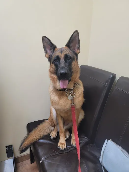 New Tampa Animal Hospital Picture 10
