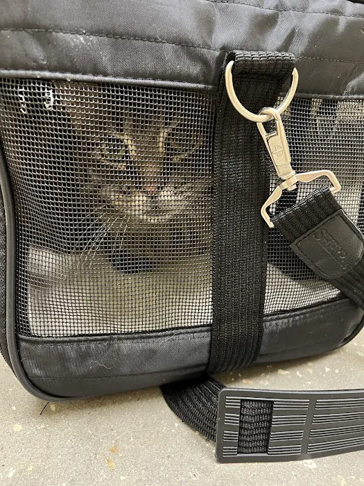 Vetco Total Care Animal Hospital Picture 6