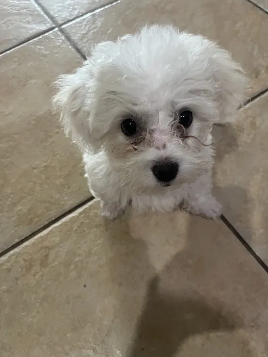 Vetco Total Care Animal Hospital Picture 5