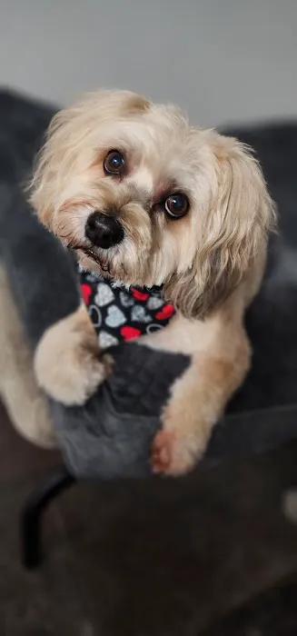 Vetco Total Care Animal Hospital Picture 8