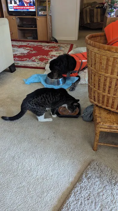 Vetco Total Care Animal Hospital Picture 7
