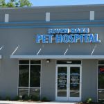 Seven Oaks Pet Hospital Wesley Chapel