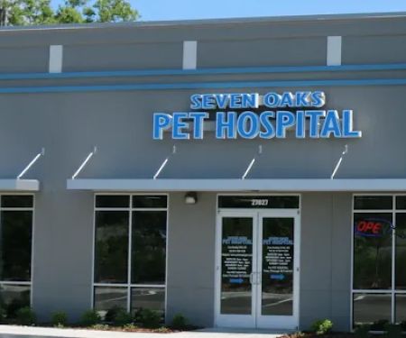 Seven Oaks Pet Hospital Wesley Chapel