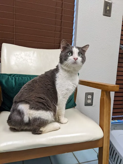 Alt, Jeffrey, Dvm - All Creatures Animal Hospital Picture 1