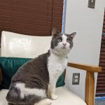 Alt, Jeffrey, Dvm - All Creatures Animal Hospital