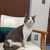 Alt, Jeffrey, Dvm - All Creatures Animal Hospital ico