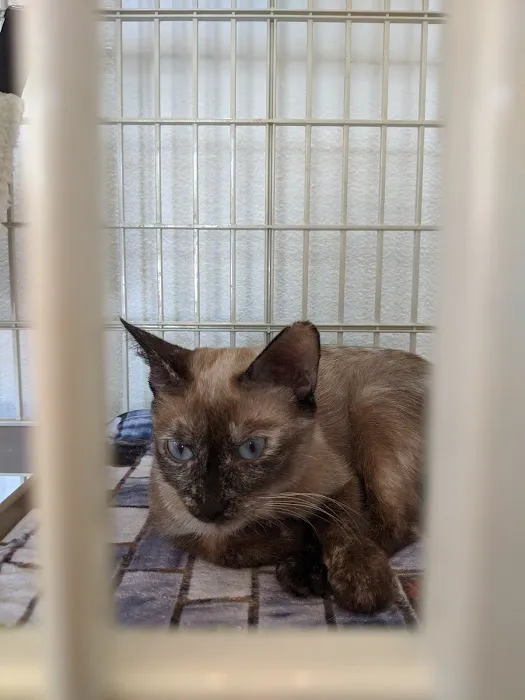 All Creatures Animal Hospital Picture 8