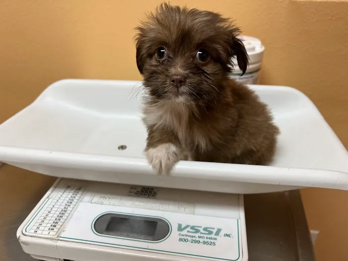 Animal & Exotic Medical Center Picture 3
