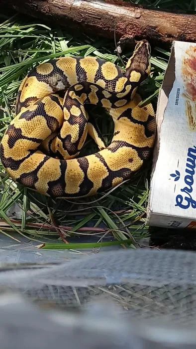 Animal & Exotic Medical Center Picture 1
