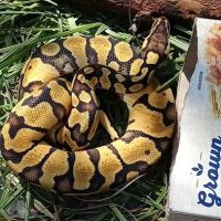 Animal & Exotic Medical Center ico