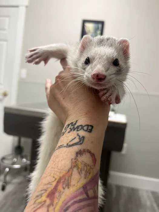 Animal & Exotic Medical Center Picture 4