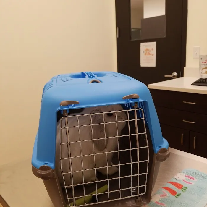 Animal & Exotic Medical Center Picture 5