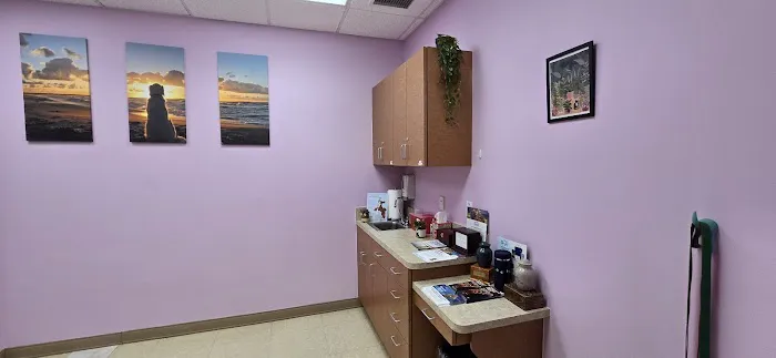 VetCheck Pet Urgent Care Center - Lutz Picture 1