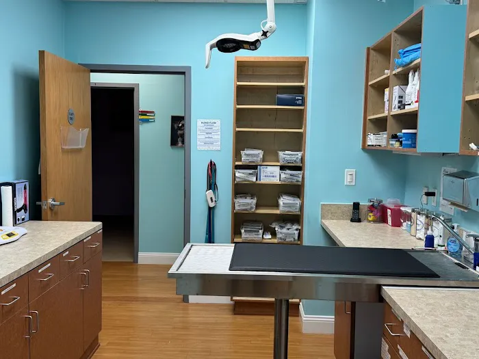 VetCheck Pet Urgent Care Center - Lutz Picture 3