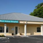East-West Animal Hospital