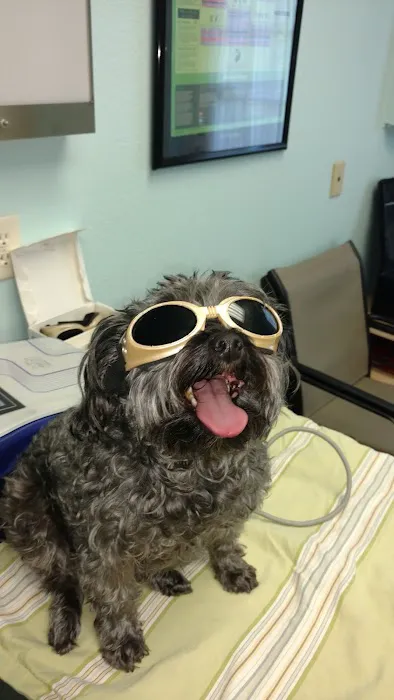 East-West Animal Hospital Picture 4