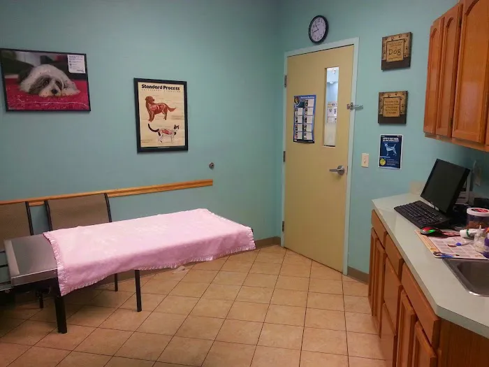 East-West Animal Hospital Picture 3