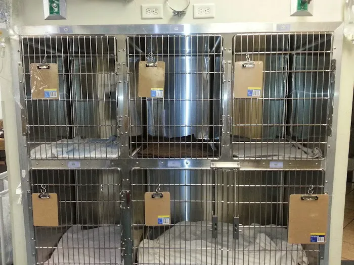 East-West Animal Hospital Picture 5