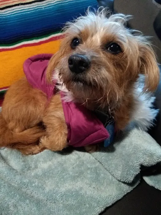 East-West Animal Hospital Picture 6