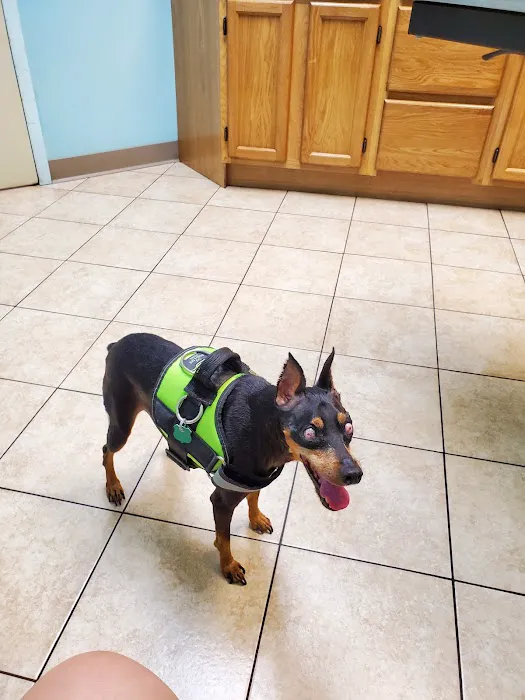 East-West Animal Hospital Picture 7