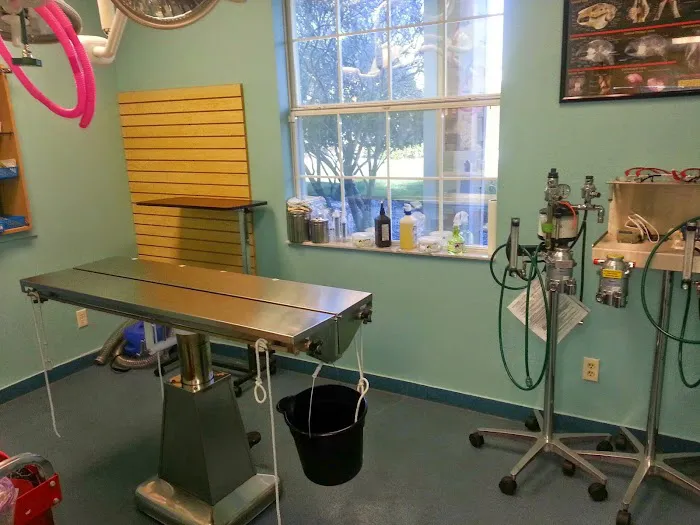 East-West Animal Hospital Picture 10