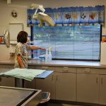 Animal Clinic of Brandon