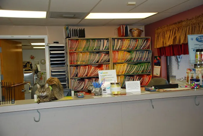 Animal Clinic of Brandon Picture 6