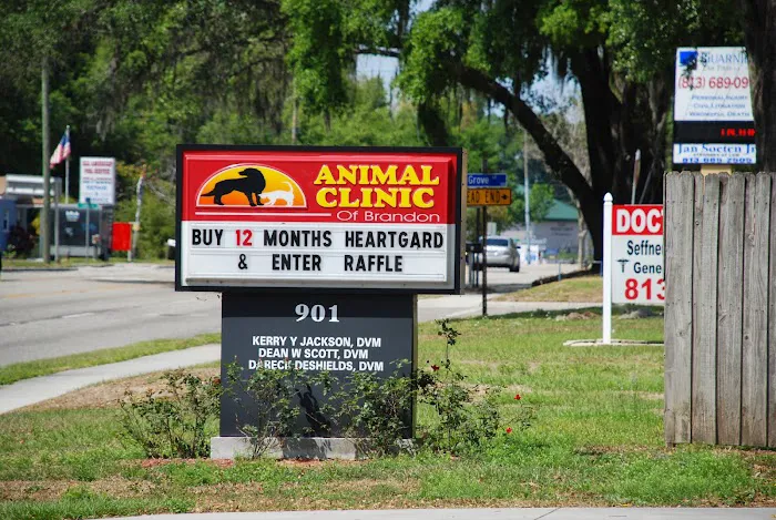 Animal Clinic of Brandon Picture 8