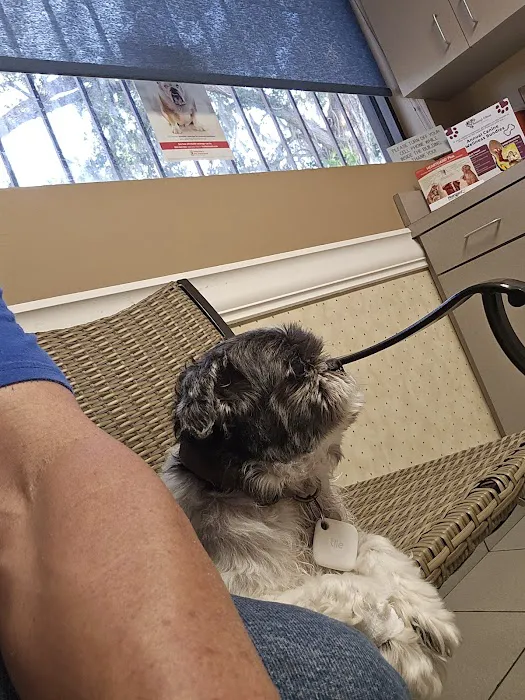 Veterinarian Picture 2