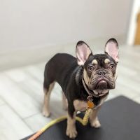 Santa Cruz Animal Clinic ico
