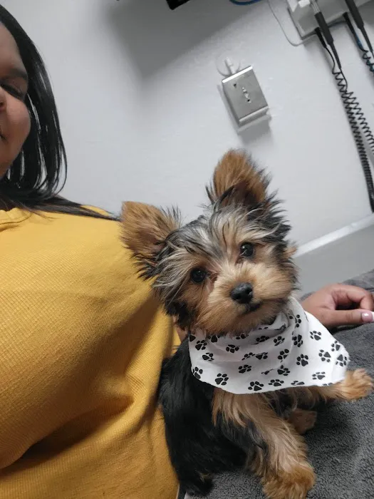 Santa Cruz Animal Clinic Picture 2