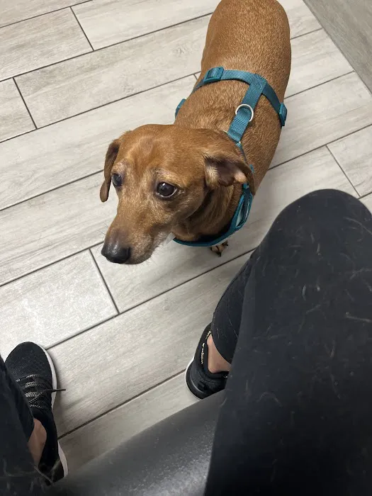 Santa Cruz Animal Clinic Picture 7